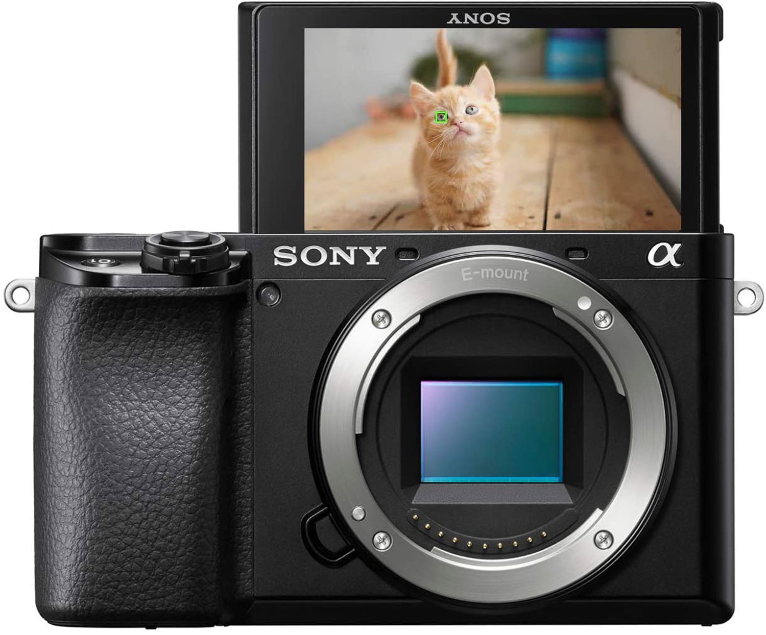 Photo-Leader | Фотоаппараты Sony